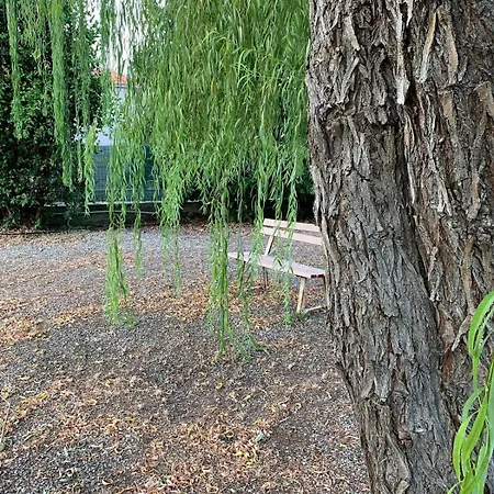 το σπίτι της κλαίουσας House Of Weeping Willow *