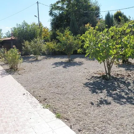το σπίτι της κλαίουσας House Of Weeping Willow Villa