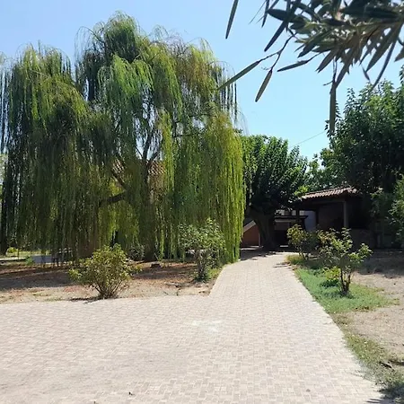 το σπίτι της κλαίουσας House Of Weeping Willow * Agios Georgios (Istiaia-Aidipsos)